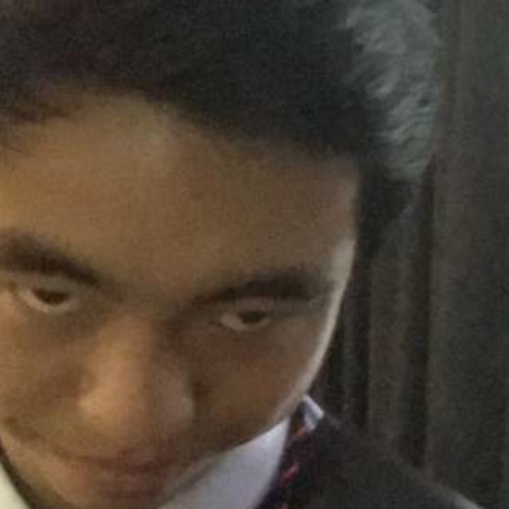 Meet your Posher, Hong zhan
